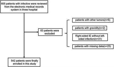 A Bayesian network-based approach for identifying risk factors and predicting ischemic stroke in infective endocarditis patients